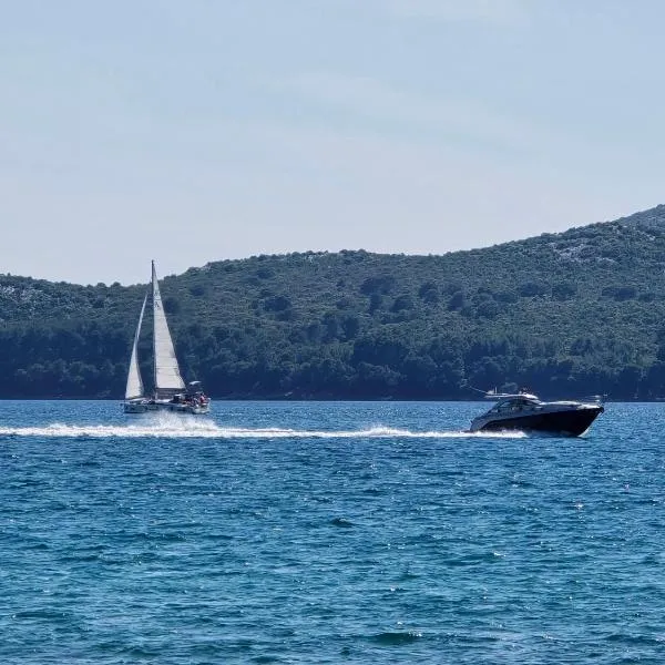 SeaView Villa, hotel v destinaci Privlaka