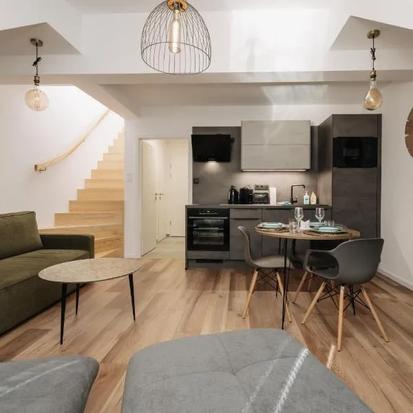 Apartmán Viki - Rezidence K Lanovce, hotel in Jáchymov