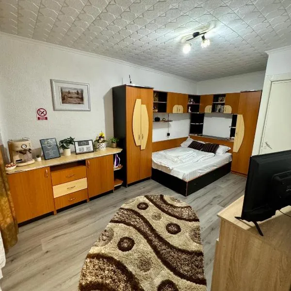 Damian House, hotel v destinaci Drobeta-Turnu Severin