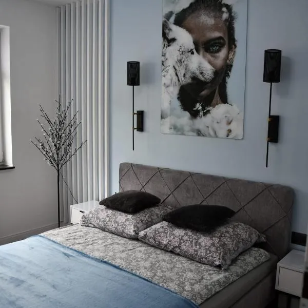 Apartament Ustrzyki Dolne "Dark-Wolf", hotel v destinaci Ustrzyki Dolne