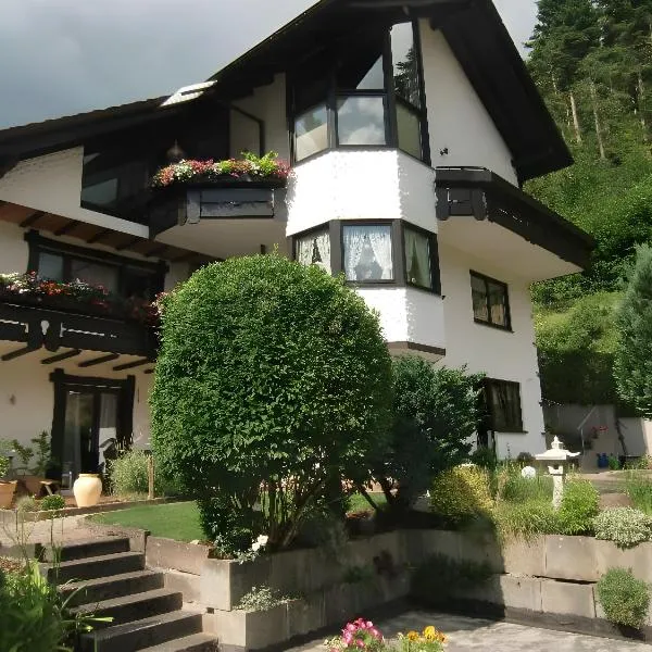 Ferienwohnung Uli Schätzle, hotel in Hornberg