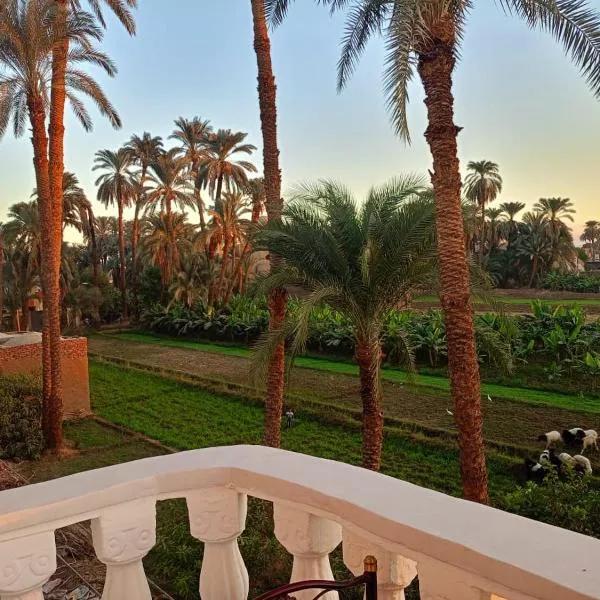 Djorff Guest House, отель в Луксоре