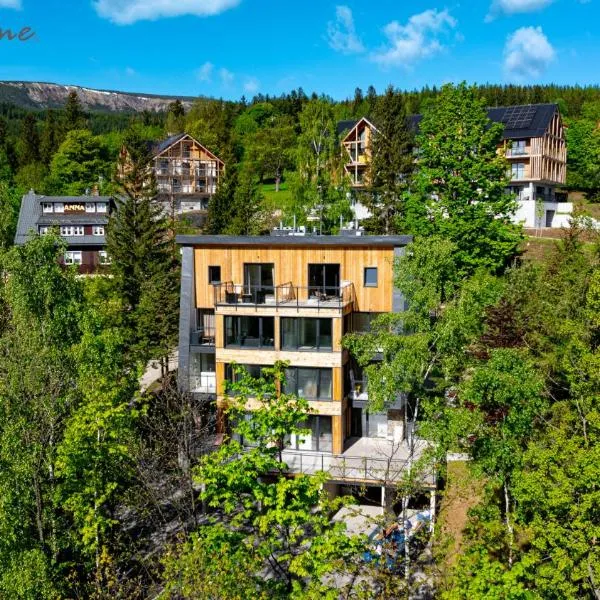 Wonder Home - Orlik Residence - blisko Ski Arena, Kościółka Wang i szlaków, отель в Карпаче
