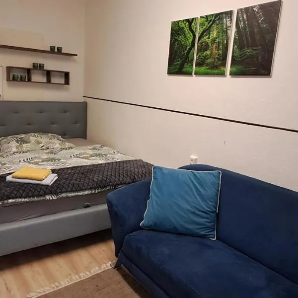 Apartment AP 1 im Zentrum Steyr, BESTROOMS eU, hotel v destinaci Steyr