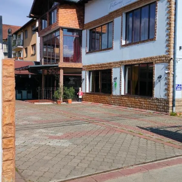 Casa Emil, hotel in Floreşti