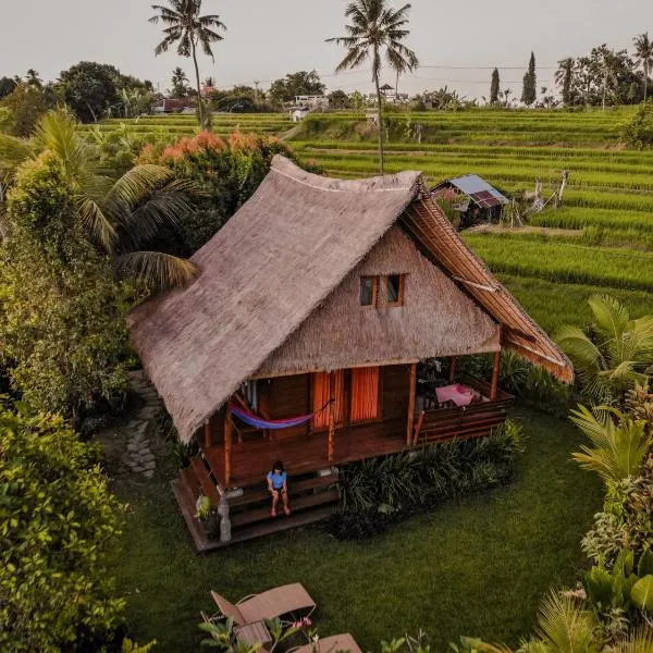 Cute Eco Cottage Near 7 Waterfalls, hotel v destinaci Singaraja