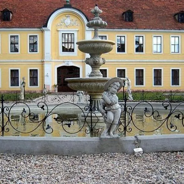 Pałac Brody, hotel in Brody