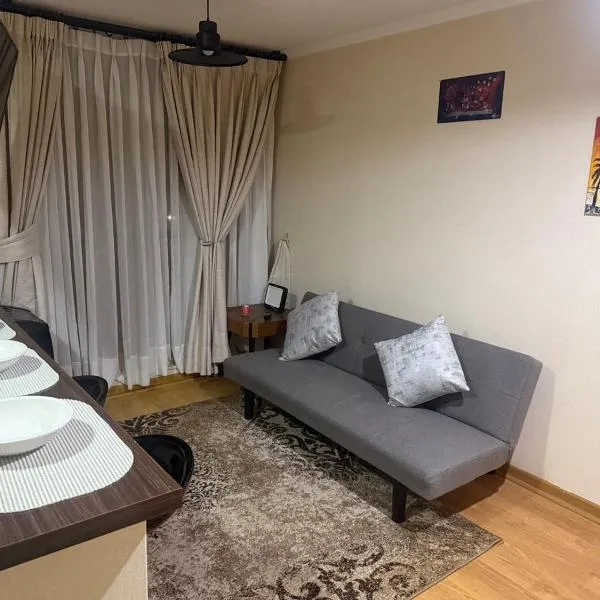 Departamento Temuco, hotel in Temuco