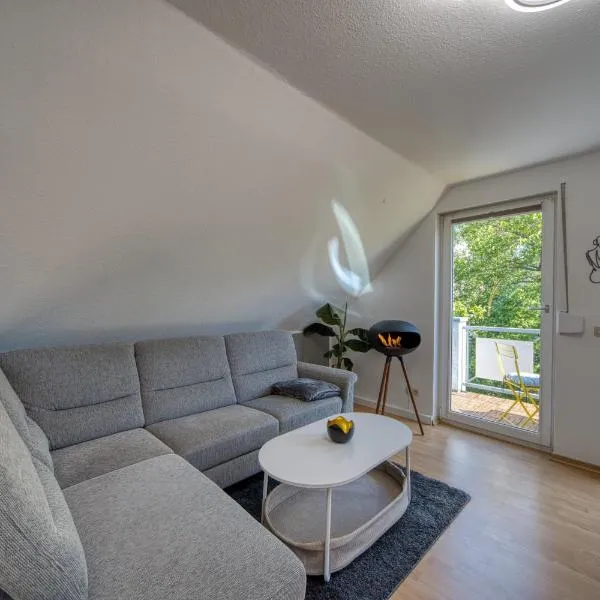 DresdenStay 3 Schlafzimmer 2 Bäder Balkon Kamin PS4, хотел в Дрезден