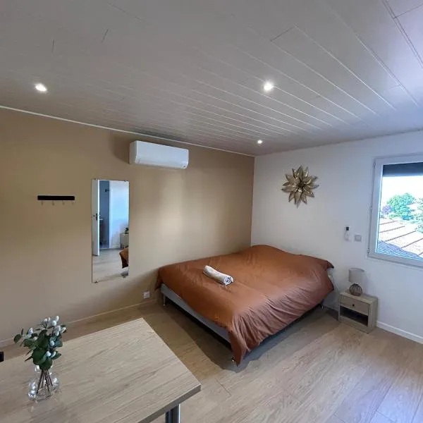 Cozy studio proche Zenith, A75 "émile", hotel em Cournon-dʼAuvergne