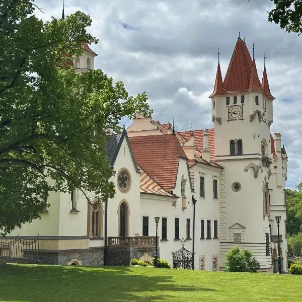 Zámek Žinkovy, hotel in Žinkovy