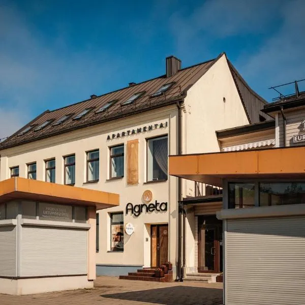 Agneta Apartamentai, hotel v destinaci Druskininkai