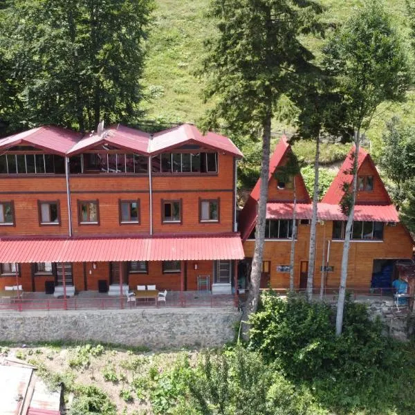 maneviga pansiyon, hotel v destinaci Çaykara