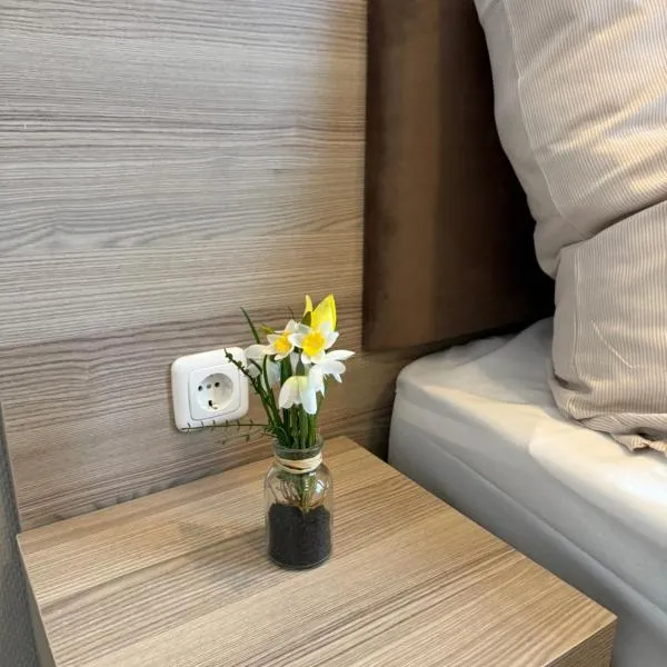 Aparthotel Emilia 24h Check-in, Free Parking and WiFi, hotel v destinácii Bargteheide