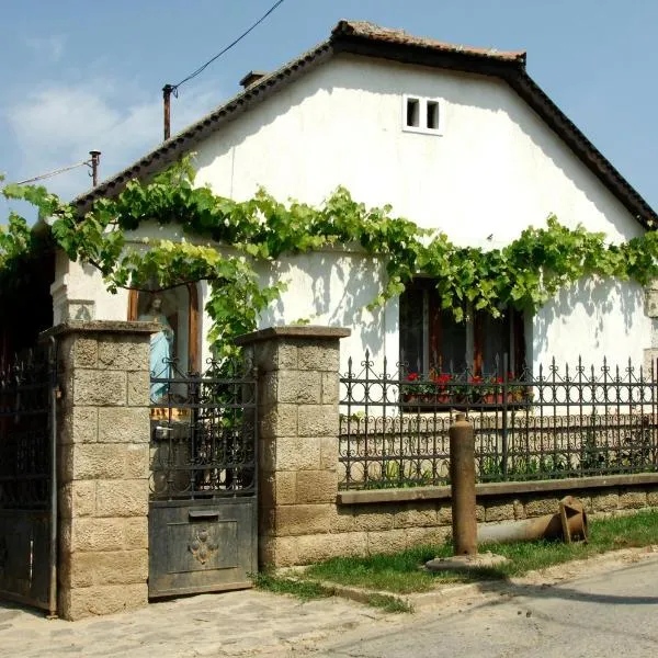 Pataky Borporta, hotel din Tarcal