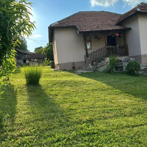 Primo apartmani, hotel v destinaci Mirovo
