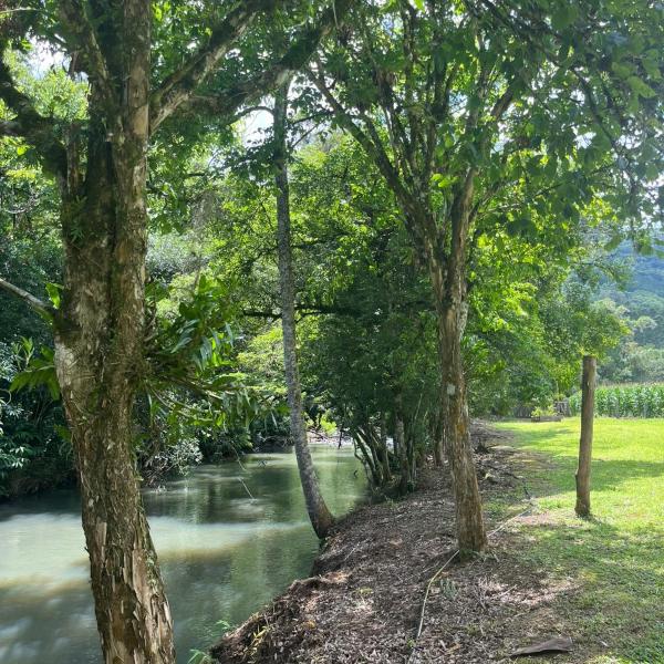 Vale do Rio Bonito Glamping - Foto 2