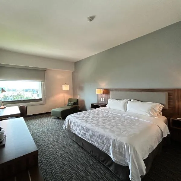 Holiday Inn Guadalajara Select by IHG、グアダラハラのホテル