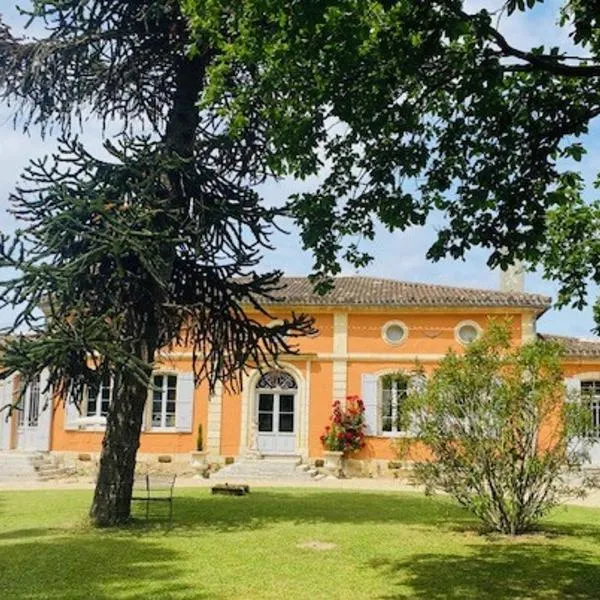 Chateau Ciers，位于Saint-Ciers-sur-Gironde的酒店