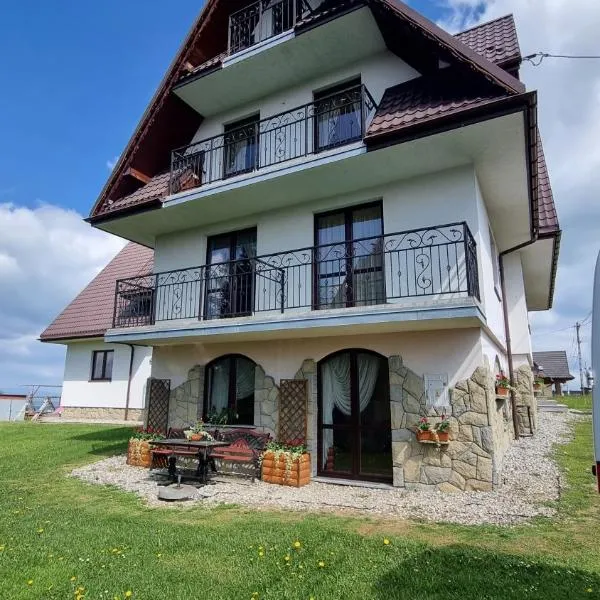 Willa u Skrajnioka, Hotel in Czerwienne