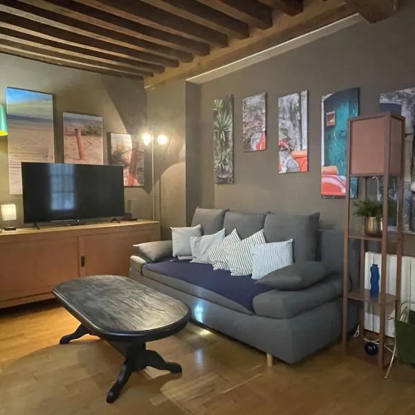 Le Cosy de Cryslor dans le vieux Chalon médiéval, hotel in Chalon-sur-Saône