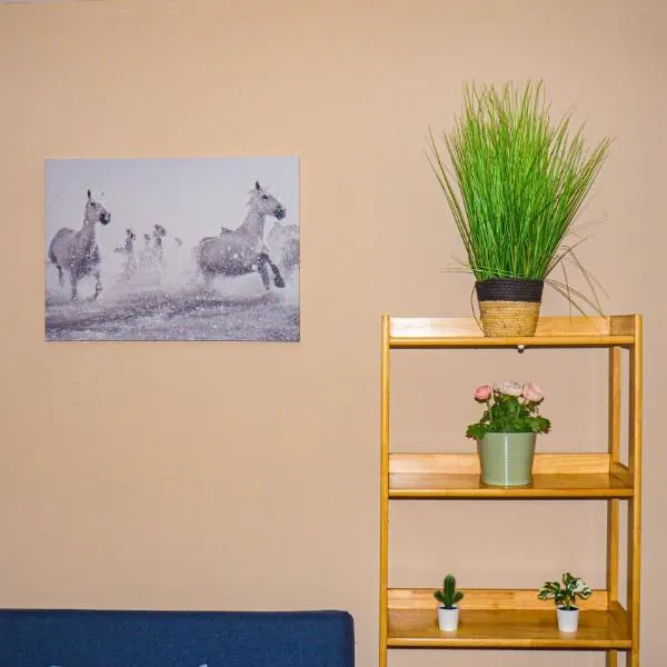 Cosy Flat off City Centre, hotel v destinaci Dublin
