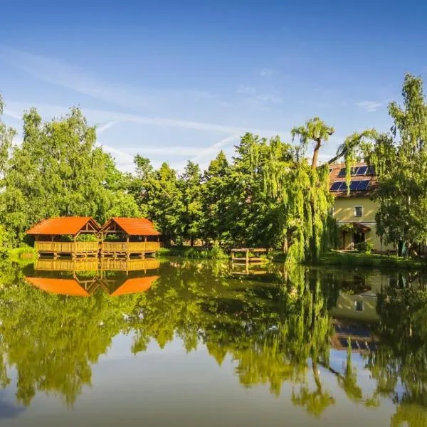 penzion Dvorce, hotel v destinaci Třeboň