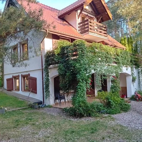 Wczasy na Kaszubach, balia, sauna, jezioro, hotel in Wąglikowice