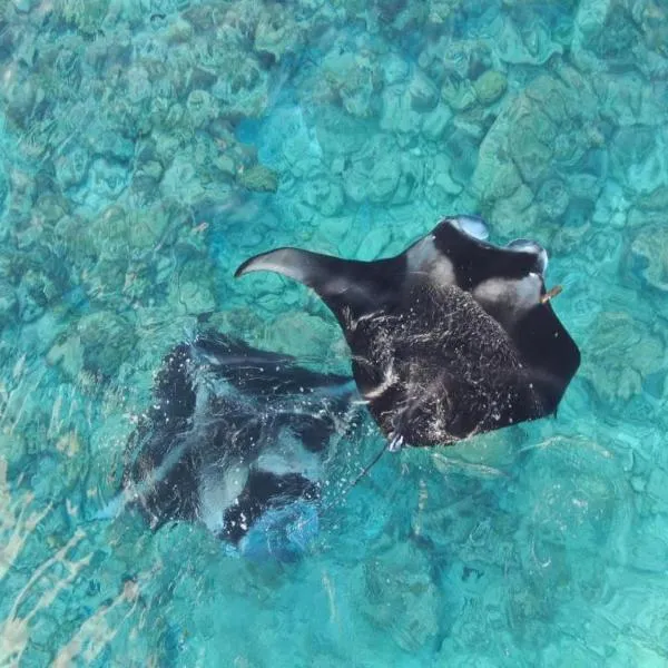 Hi Heaven Thoddoo, hotel v destinaci Thoddoo