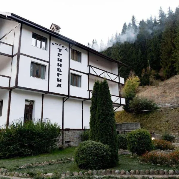 TRIIBRIA Guest house, hotel em Trigrad