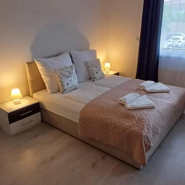 Cozy and modern apartment near Brno city center, hotel in Husovice