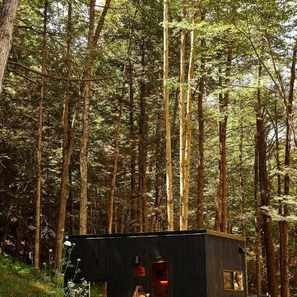 Postcard Cabins Eastern Catskills, hotel in Catskill