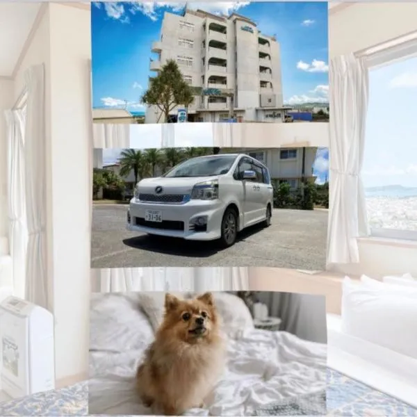 HOTEL PACIFIC VIEW レンタカー付ホテル ペット同伴可、沖縄市のホテル
