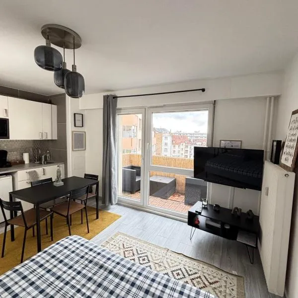 Soh Rent Strasbourg Wifi Terrasse St Aloise, hotel ve Štrasburku