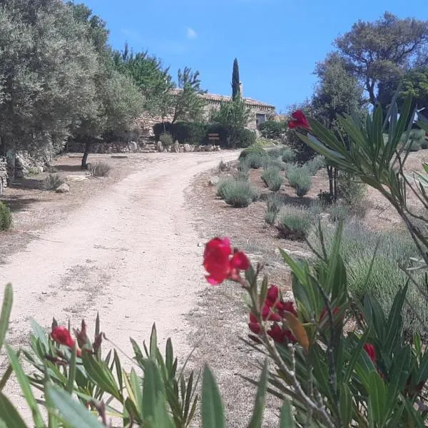 holiday home su Niberalzu, hotel v destinaci Monti