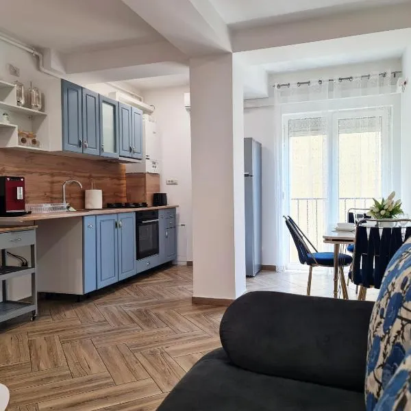 Esther Premium Apartment self check-in, balcony, free private parking，蒂米什瓦拉的飯店