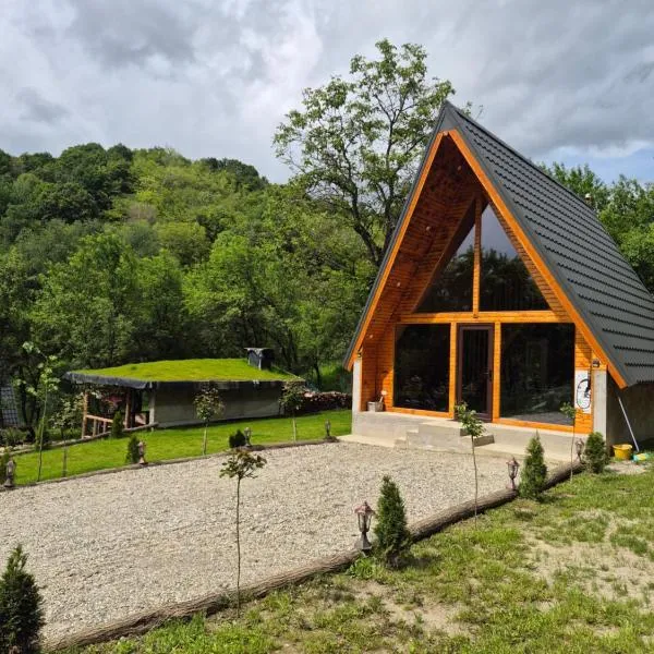 Cabana AFrame Olanesti, hotel v destinaci Băile Olăneşti