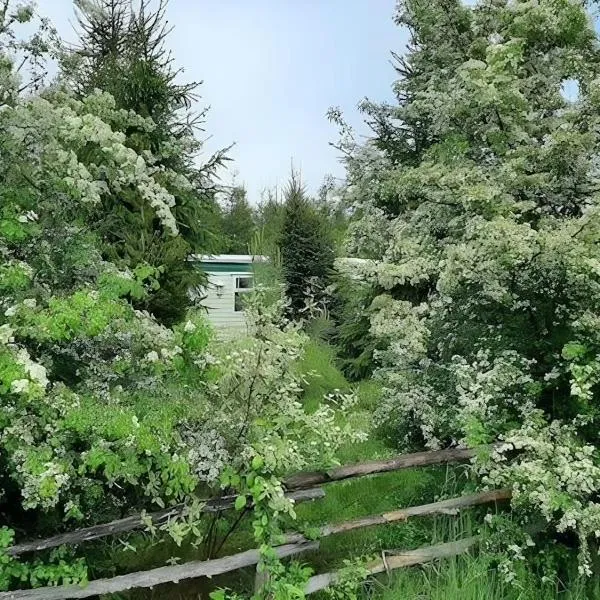 Domek angielski โรงแรมในเบียโวเวียชา