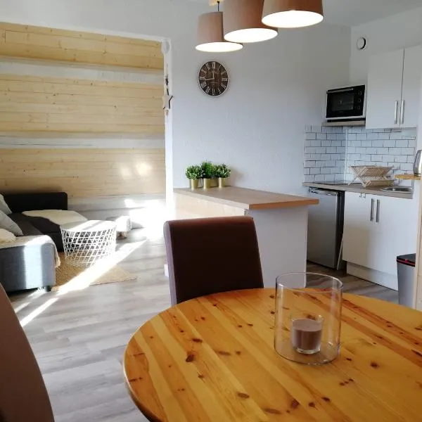 Appartement au pied des pistes โรงแรมในมงต์คลาร์