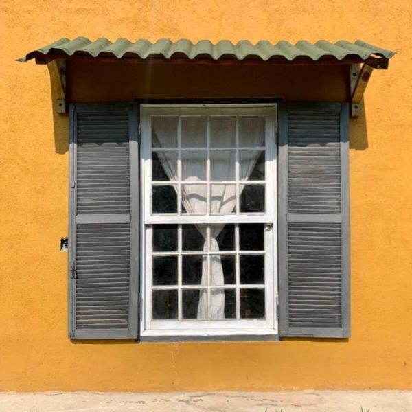 Patizal - Santuário de animais - Foto 5