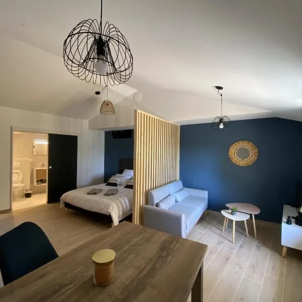 Vina Rhôna, hotel v destinácii Condrieu