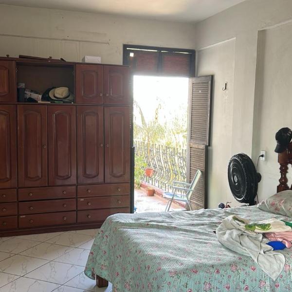 Coelhoaluga - Foto 2