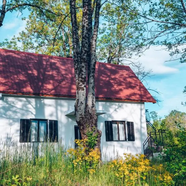 Eco House Nevidio, hotel v destinaci Šavnik