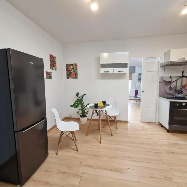 Apartament Wodzisław Śląski Blisko granicy, hotel in Wodzisław Śląski