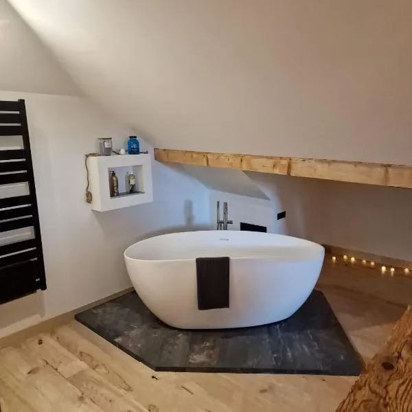 Duplex la Beun, hotel a Saint-Paul-en-Chablais