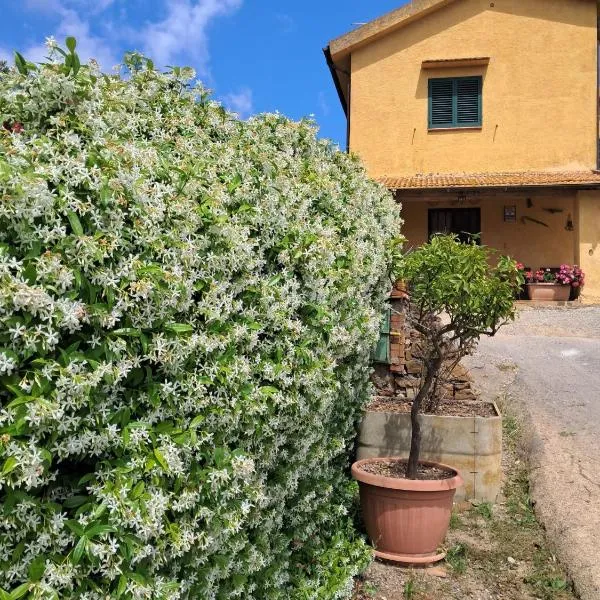 La Ghiandaia, hotel in Porto Ercole