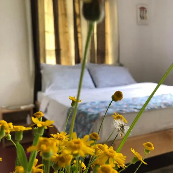 Rex pax homestay, hotel v destinaci Moshi