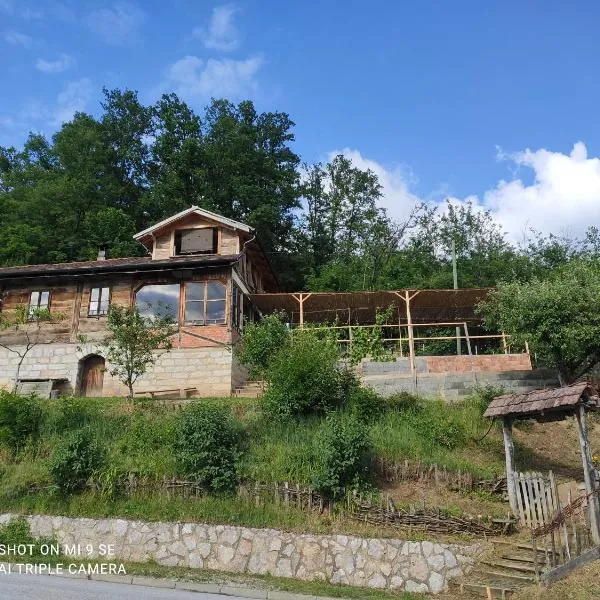 Guest House Veliki Grabovski, hotel v destinaci Grab