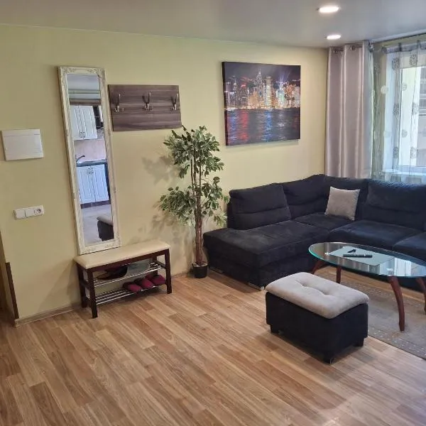 Apartamentai Dana, ξενοδοχείο σε Μπίρστονας