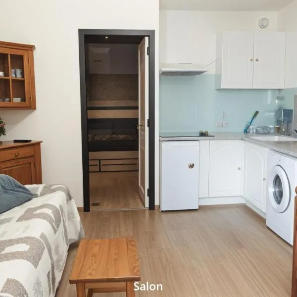 Appartement pour 4 personnes au pied des pistes, hotel in Châtel
